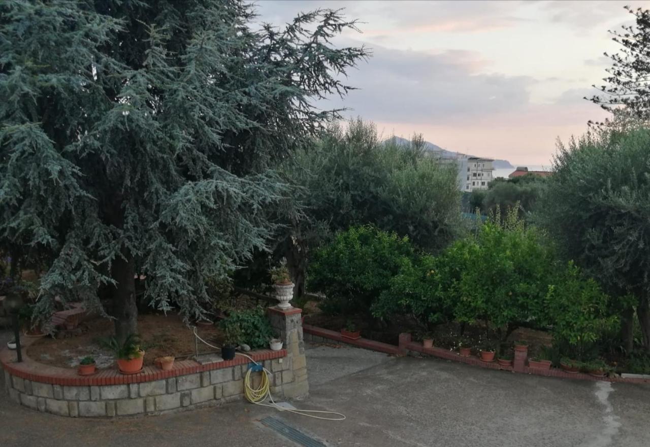 Villa Giannina Massa Lubrense Eksteriør billede